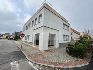 Pronájem obchodního prostoru, Mladá Boleslav - Mladá Boleslav II, Máchova, 165 m2