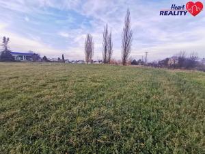 Prodej komerčního pozemku, Neplachovice, Na Nivě, 7386 m2