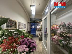 Pronájem obchodního prostoru, Praha - Vinohrady, Francouzská, 29 m2