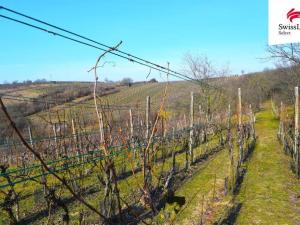 Prodej komerčního pozemku, Bzenec, 1748 m2