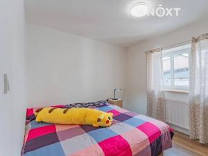 Pronájem bytu 2+1, Zábřeh, Československé armády, 32 m2