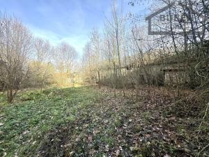 Prodej zemědělského objektu, Stráž - Olešná, 2210 m2