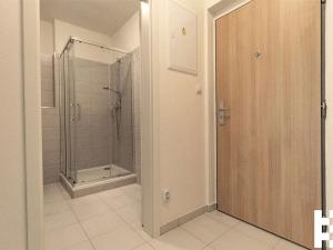 Pronájem bytu 1+kk, Plzeň, K Zelené louce, 31 m2