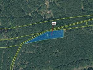 Dražba lesa, Jesenice, 1636 m2