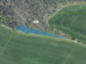 Dražba lesa, Nové Dvory, 953 m2