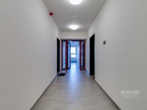 Pronájem bytu 1+kk, Praha - Letňany, Malkovského, 29 m2