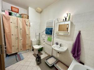 Prodej bytu 2+kk, Milovice, Lesní, 50 m2