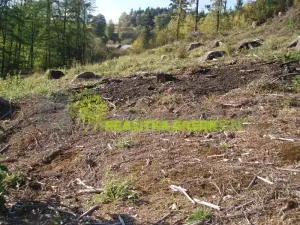 Prodej lesa, Růžďka, 21209 m2