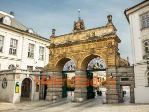 Pronájem bytu 1+kk, Plzeň - Jižní Předměstí, Magisterská, 30 m2