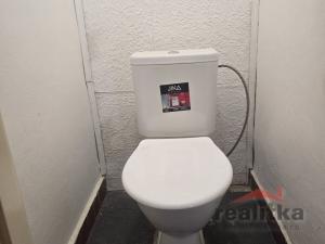 Prodej bytu 3+1, Opava - Předměstí, Elišky Krásnohorské, 62 m2