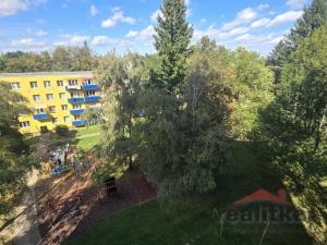 Prodej bytu 3+1, Opava - Předměstí, Haškova, 67 m2