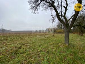 Prodej rodinného domu, Dětřichov u Moravské Třebové, 300 m2