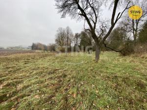 Prodej rodinného domu, Dětřichov u Moravské Třebové, 300 m2