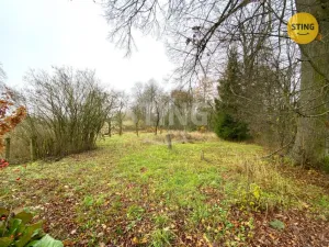 Prodej rodinného domu, Dětřichov u Moravské Třebové, 300 m2