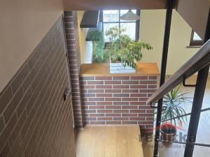 Pronájem bytu 3+kk, Opava, Hořicova, 85 m2