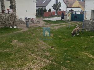 Pronájem bytu 3+1, Zahorčice, 169 m2