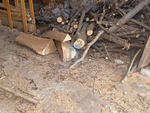 Pronájem bytu 3+1, Zahorčice, 169 m2