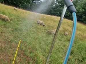 Prodej komerčního pozemku, Heřmaničky, 19000 m2