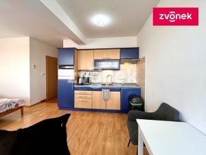 Pronájem bytu 1+kk, Zlín, Voženílkova, 30 m2