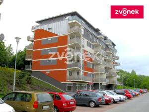 Pronájem bytu 1+kk, Zlín, Voženílkova, 30 m2