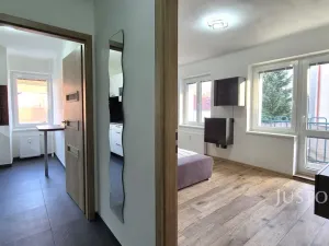 Pronájem bytu 2+1, Písek, Švantlova, 45 m2