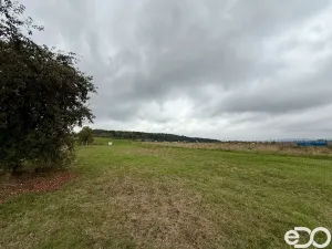 Prodej pozemku pro bydlení, Přílepy, 1080 m2