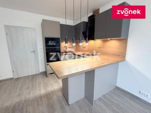 Pronájem bytu 1+kk, Zlín, Nad Stráněmi, 37 m2