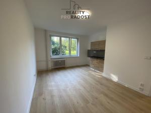 Pronájem bytu 1+kk, Havířov, Družstevnická, 23 m2