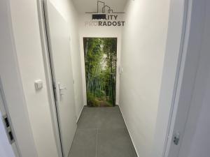 Pronájem bytu 1+kk, Havířov, Družstevnická, 23 m2