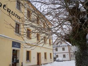 Prodej komerční nemovitosti, Branná, 21 m2