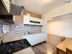 Pronájem bytu 2+1, Duchcov, Vrchlického, 52 m2