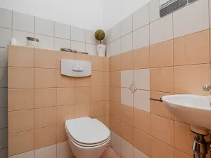 Prodej rodinného domu, Ostrava, Panská, 186 m2