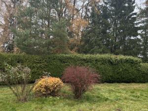 Pronájem zahrady, Postupice, 729 m2