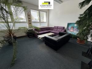 Pronájem výrobních prostor, Plzeň - Doubravka, Hřbitovní, 2513 m2