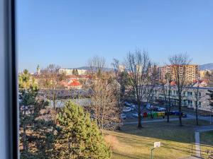 Pronájem bytu 1+kk, Frýdek-Místek, 17. listopadu, 23 m2