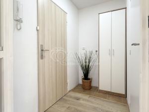 Pronájem bytu 1+kk, Praha - Střížkov, Rumburská, 33 m2