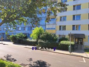 Pronájem bytu 2+1, Žatec, Ostrov, 66 m2