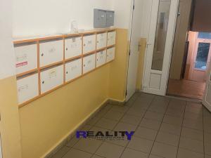 Pronájem bytu 2+1, Žatec, Ostrov, 66 m2