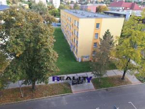 Pronájem bytu 2+1, Žatec, Ostrov, 66 m2