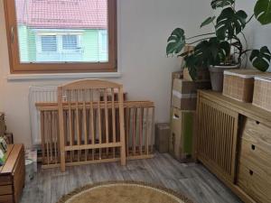 Pronájem bytu 3+1, Lipová-lázně, 55 m2