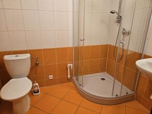 Prodej bytu 1+1, Jeseník, Slezská, 41 m2