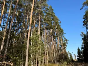 Prodej pozemku, Slabčice, 9236 m2