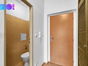 Prodej bytu 2+kk, Čelákovice, Sokolovská, 48 m2