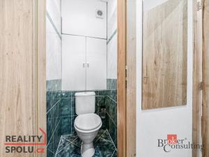 Prodej bytu 3+1, Plzeň - Jižní Předměstí, Alešova, 73 m2