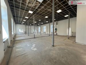 Pronájem skladu, Kolín - Kolín IV, Polepská, 263 m2