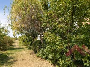 Pronájem bytu 3+kk, Praha - Dolní Měcholupy, V osikách, 76 m2