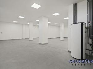 Prodej obchodního prostoru, Čelákovice, Sokolovská, 463 m2