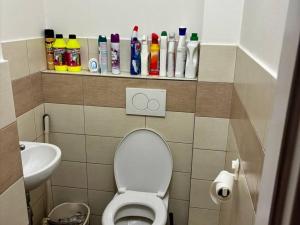 Pronájem bytu 3+kk, Praha - Žižkov, Hartigova, 70 m2