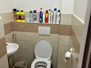 Pronájem bytu 3+kk, Praha - Žižkov, Hartigova, 70 m2