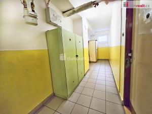 Pronájem bytu 1+kk, Lovosice, Kostelní, 24 m2